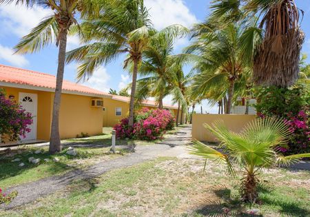 Bungalow Suikerdiefje (1 slaapkamer) max 2 personen