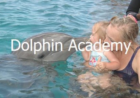 Dolphin Academy Curacao